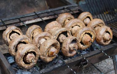 Вкуснейшие шампиньоны на мангале: маринад и рецепт приготовления