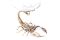 Бокал для коньяка "Скорпион" в кожаном кейсе